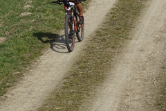 DSC02631a